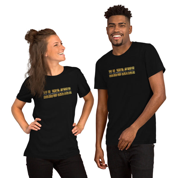 Alumni Split Text Stroke Unisex t-shirt